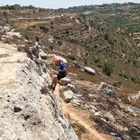 גלריה