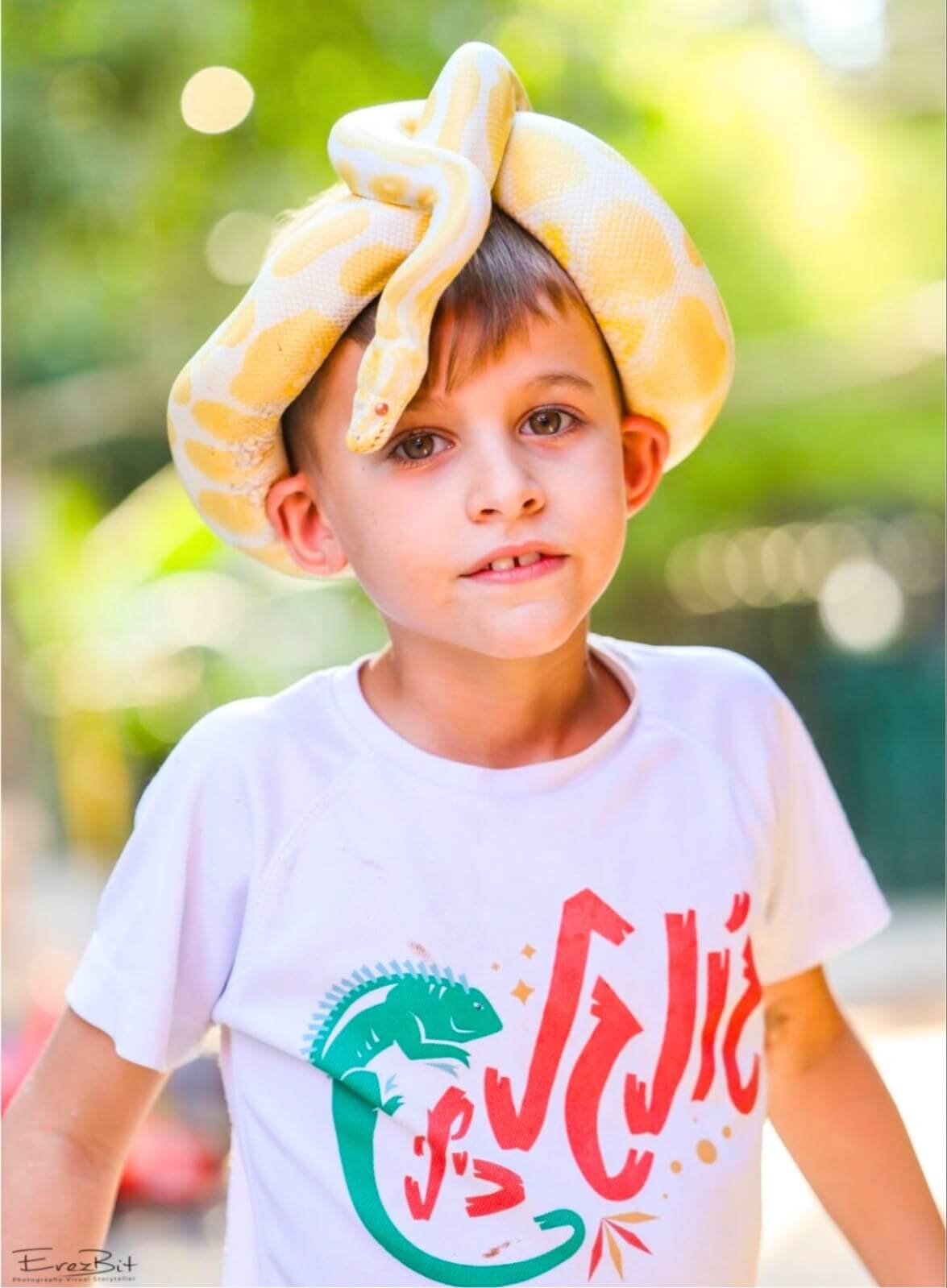 ג'ונגל כיף - פארק חיות